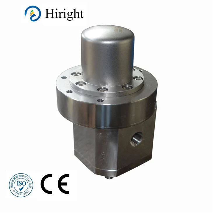 Food Additive Gear Messung Pumpe